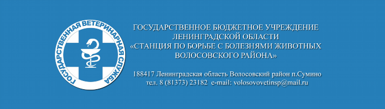 Доска объявлений волосово вакансии