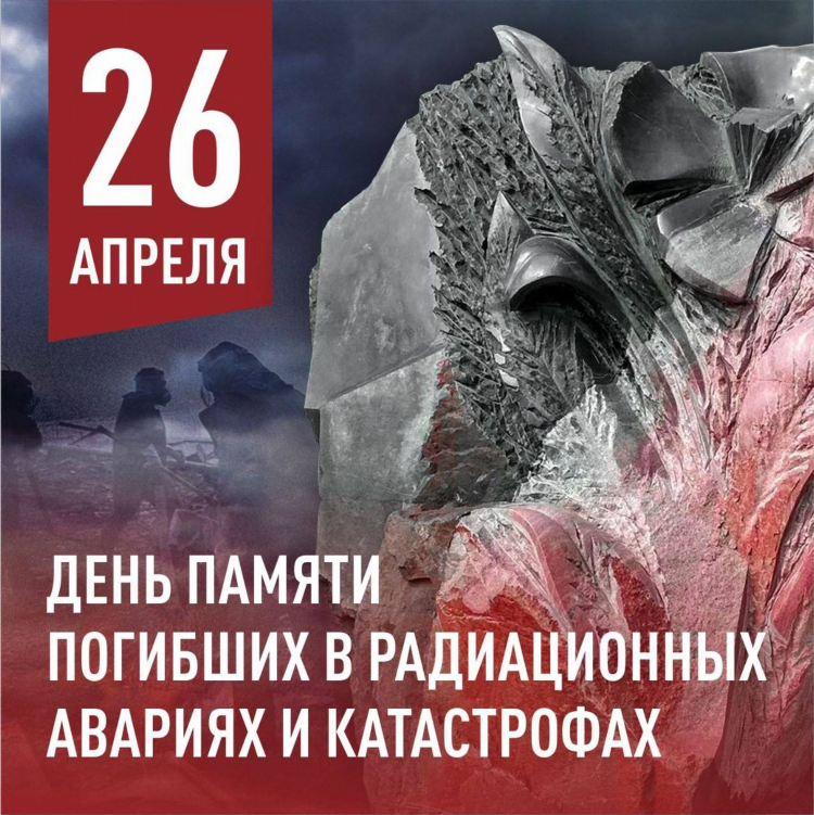 Объявление амнистии чья функция