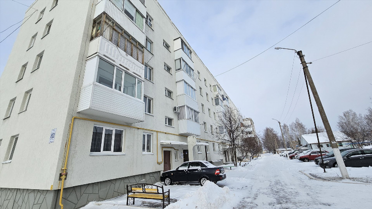 Объявления приютово