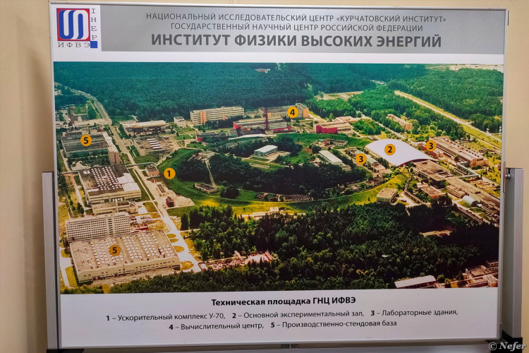 Объявления в протвино