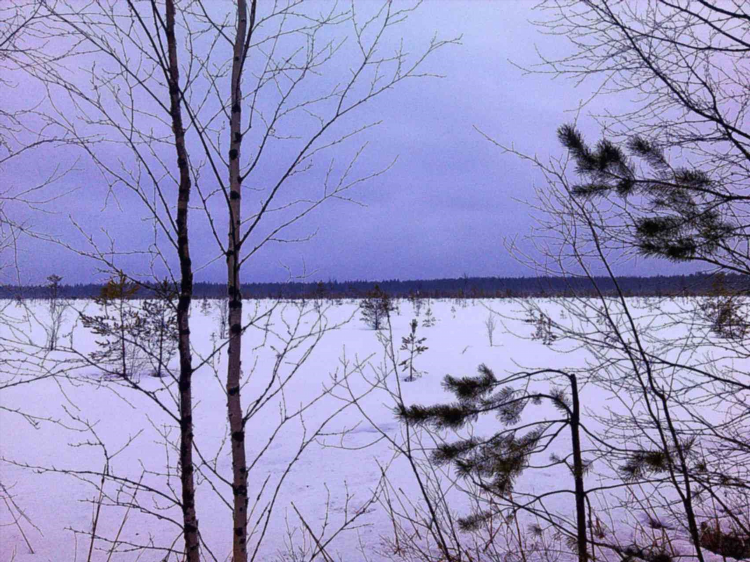 Подслушано койгородок доска объявлений
