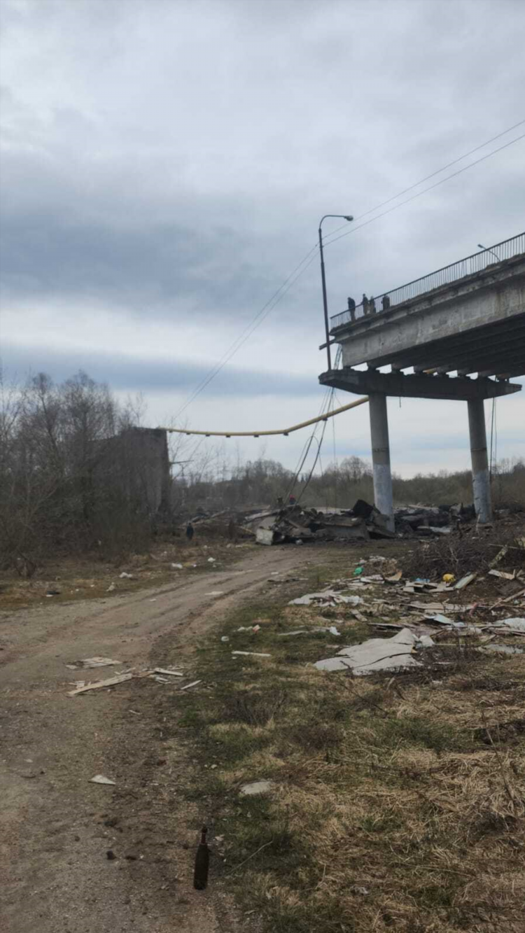 Вязьма объявления авоська посмотреть