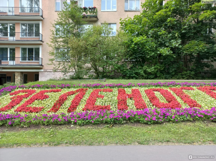 Зеленогорск доска объявлений сады